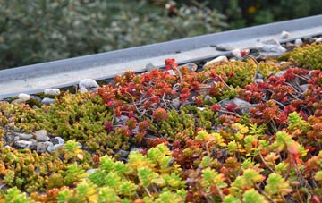 the cost of Govilon green roof installation