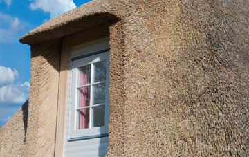 Govilon thatch roof disadvantages